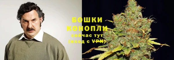 ECSTASY Семикаракорск