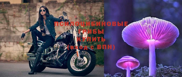 ECSTASY Семикаракорск