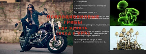 ECSTASY Семикаракорск