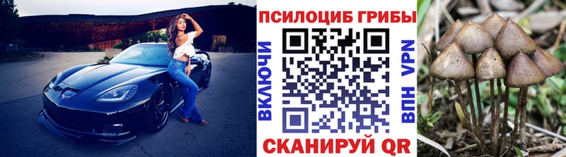 Купить закладки  Хадыженск  Псилоцибиновые грибы GOLDEN TEACHER 